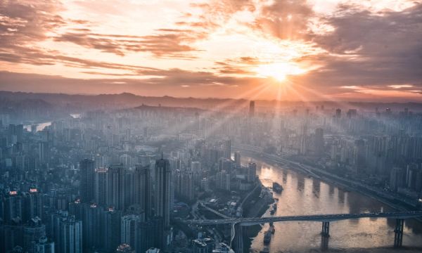 直感力や決断力が向上