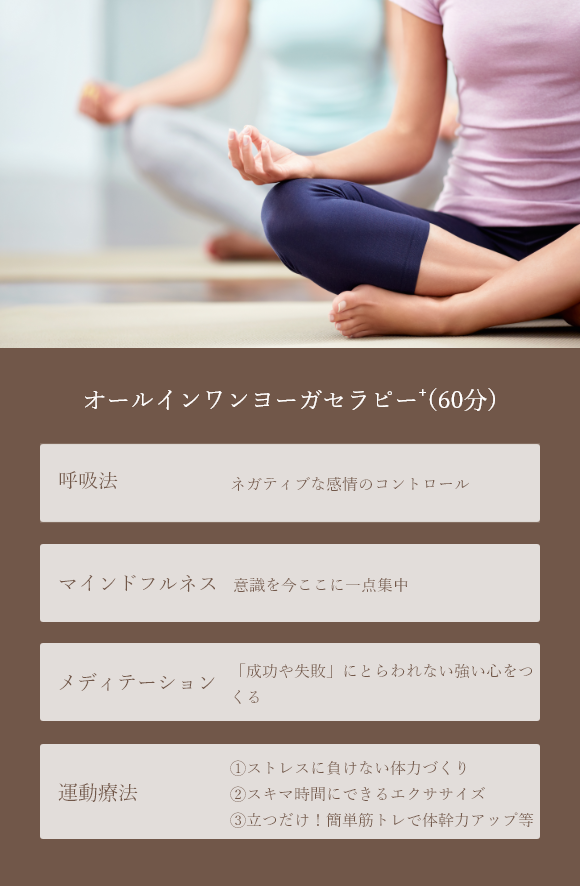 オールインワンヨーガセラピー⁺(60分)