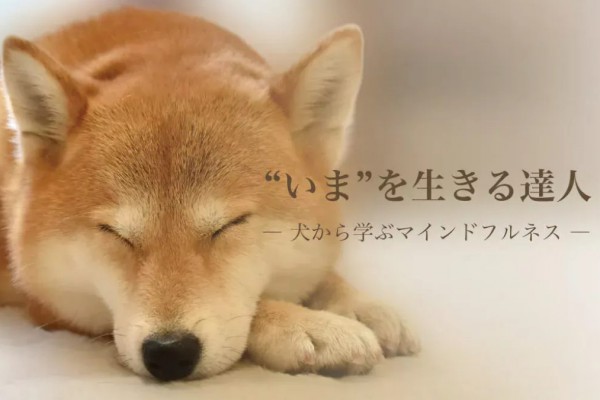 【ヨガジェネレーション連載】 “いま”を生きる達人 ― 犬から学ぶマインドフルネス 2025.11